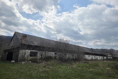 Teren de 28000 mp, în Tulgheș - 3