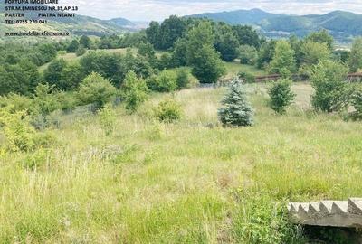 Teren Alexandru cel Bun - 1