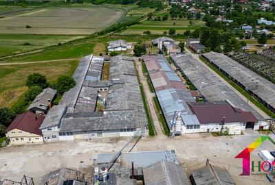 Teren 100.000 mp + Spatii Industriale Bacau - 19