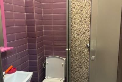 Apartament cu 3 camere decomandat, mobilat în Dobroești - 5