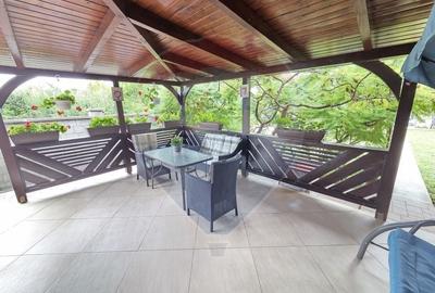 Casa de vis cu 4 dormitoare intr-o zona linistita din Salonta - 16