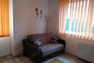 Inchiriere apartament 1camera Str Coposu - 5