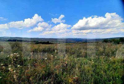 Teren de 5800 mp, în Pădureni (Chinteni) - 2
