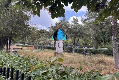 Cabinet medical exclusiv in Policlinica Vitan! Cabinet medical exclusiv in Policlinica Vitan! - 14