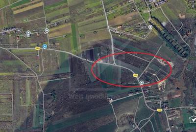 Teren Construcții intravilan de 7975 mp, în Sopor - 2