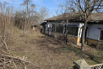 Teren de 3300 mp, în Brăniștari - 6