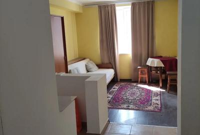 Garsonera 25MP direct proprietar - 5