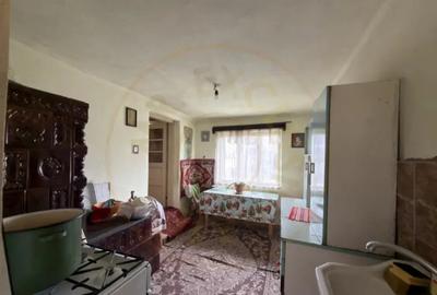 Teren de 3000 mp, în Exterior Vest - 7