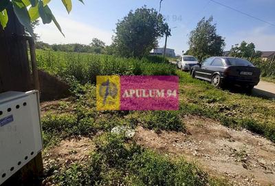 Teren Construcții intravilan de 5000 mp, în Copăceni - 16