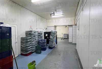 Hala de vanzare | 430 mp | Splaiul Unirii - 10