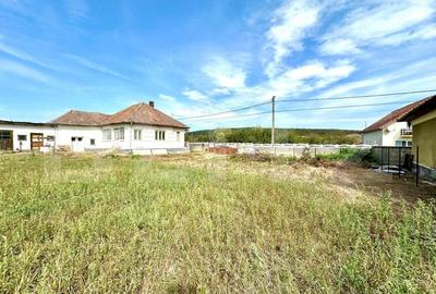 Casa la tara, teren 5500 mp ,Garbova de Jos - 3