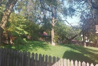 Casa individuala superba 3 camere, pivnita 24mp si teren generos 550mp in Comarn Casa individuala superba 3 camere, pivnita 24mp si teren generos 550mp in Comarn - 10