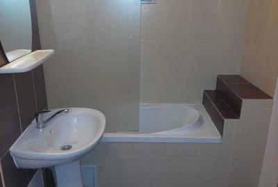 Apartament 2 camere  Nicolina str. Egalitatii-nemobilat - 5