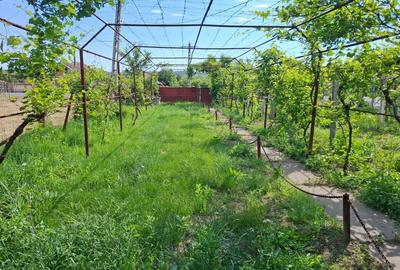 Casă cu 3 camere în Vlăduleni - 5