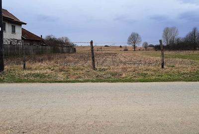 TEREN INTRAVILAN SI EXTRAVILAN POLOVRAGI - BENGEASCA - 7