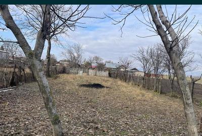 Casă cu 5 camere în Valea Râmnicului