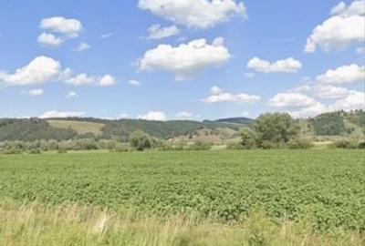 Teren de 5000 mp, în Bod - 1