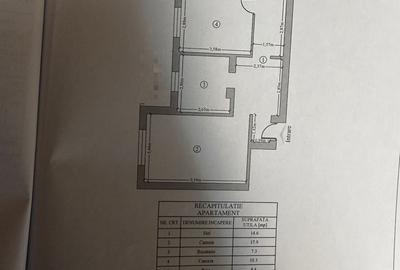 Apartament cu 3 camere decomandat, zona Frumoasa - 7