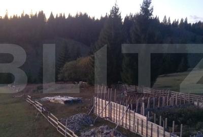Teren de 2400 mp, în Dorna Candrenilor - 3