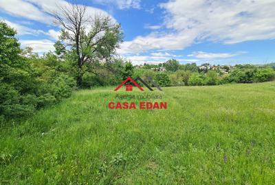 Teren intravilan de 4355 mp, în Câmpina - 4