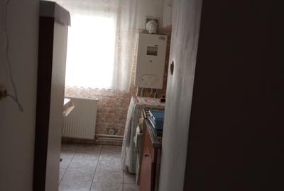 Anda garsoniera Anda garsoniera - 3