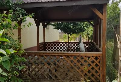 Proprietar, vand vila in apropierea Bucure?tiului - 1