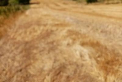 Spațiu comercial, în Ghimpați