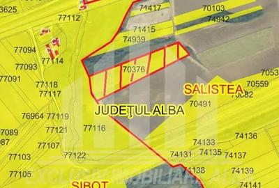 Teren agricol de vanzare, Salistea - 4