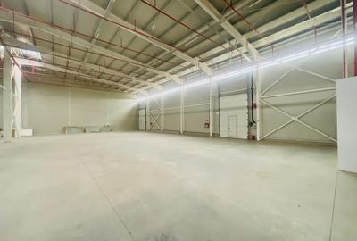 Hala - Drumul Intre Tarlale - Noua - Aviz ISU Hala - Drumul Intre Tarlale - Noua - Aviz ISU - 6