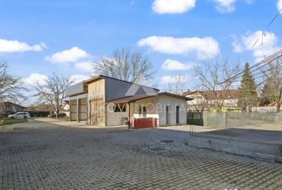 Spațiu comercial, de 346 mp, în Ciolpani - 9