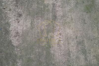 Teren Construcții intravilan de 730 mp, în Șag - 2