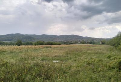 Oportunitate de investitie, teren intravilan, 6018 mp, Ungur - 1