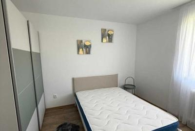 Apartament cu 2 camere semidecomandat, mobilat în Costin Georgian - 2