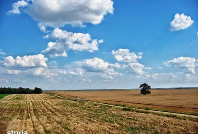 Teren de 1000 mp, în Vasilați - 1