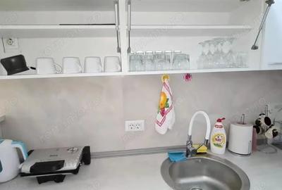 Apartament cu 2 camere în Gorjului - 6
