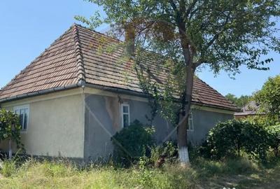 Casă cu 3 camere cu Teren 3760 Mp în Arieșu de Pădure - 7