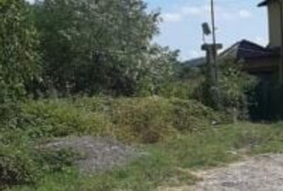 Teren agricol intravilan de 1500 mp, în Mărăcineni - 1