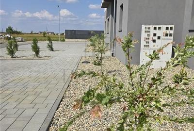 Apartament cu 2 camere în Moșnița Nouă - 10
