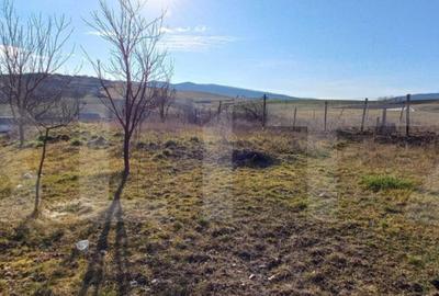 Teren intravilan 711mp,zona Sigmir - 2