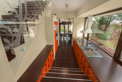 Otopeni - str Campului - Vila 4 camere+birou, curte generoasa - 19