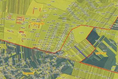 Teren extravilan Mogosani, ID: R2868327 - 6