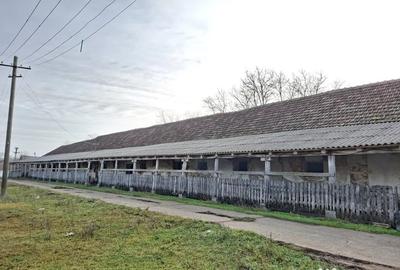 Teren de 1300 mp, în Central - 1