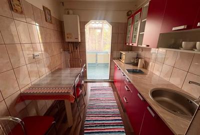 Apartament cu 2 camere decomandat, mobilat în Dacia - 7