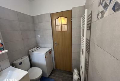 Apartament cu 2 camere decomandat în Turnișor - 3