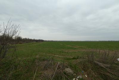 Teren Construcții intravilan de 10000 mp, în Butimanu - 4