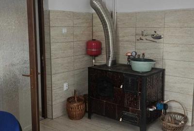 Casă cu 2 camere în Criș - 8