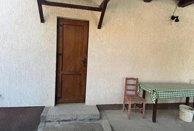 Vila de vanatoare in Santimbru-Bai - 4