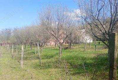 Casă cu Canalizare în Bucium - 7