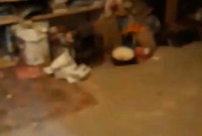 Casă cu 4 camere cu Teren 2000 Mp în Bujoreni - 3