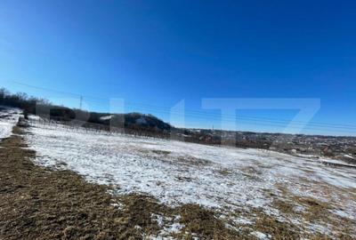 Teren de 9600 mp, în Rădășeni - 1